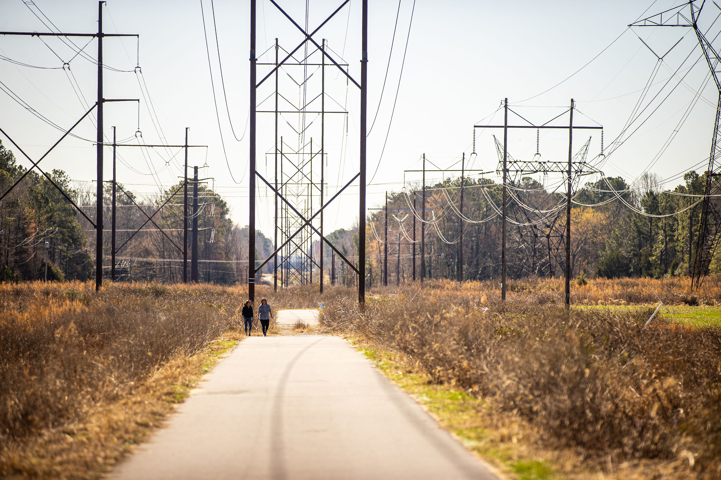 Power Line Section of the Fall Line